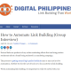 DigitalPhilippines.net
